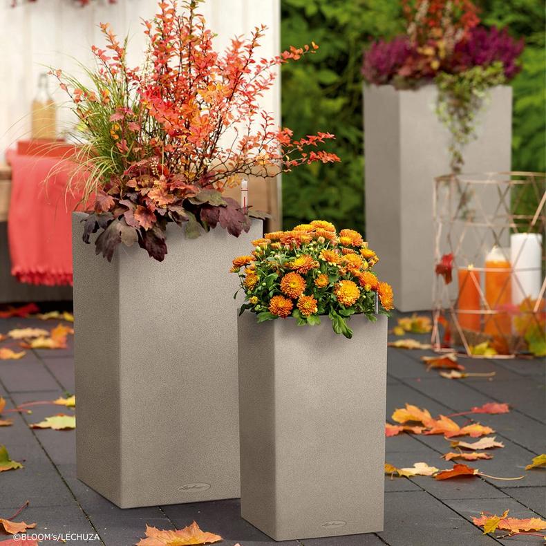 le_canto-stone-saeule_product_addi_06